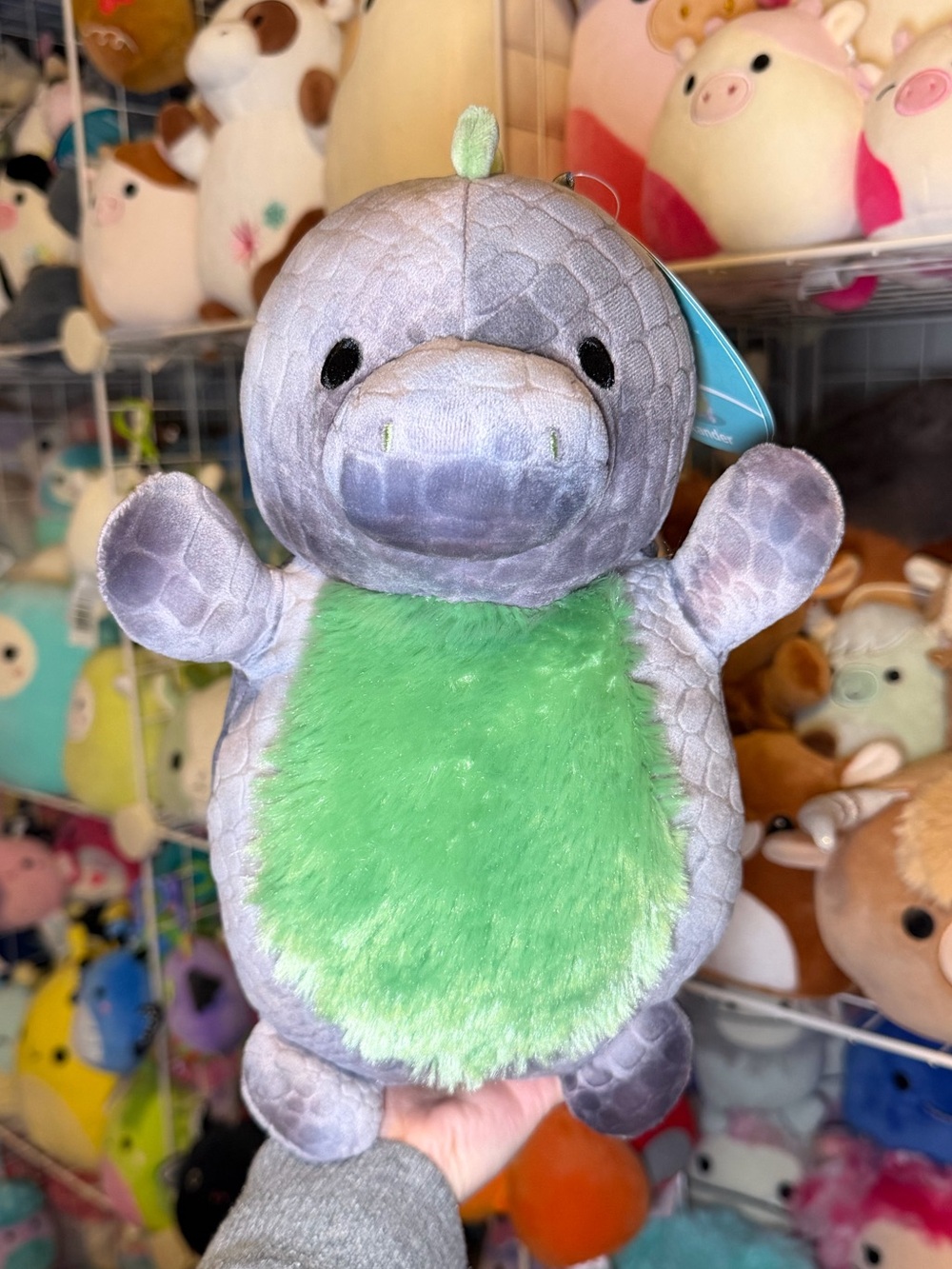 Squishmallows Squishmallow Xander the Grey Dinosaur 10” Hugmee Stuffed Plush
